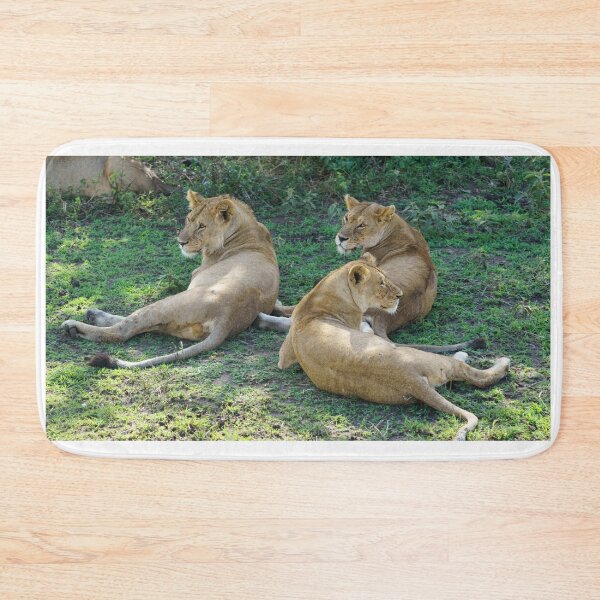 Item preview, Lionesses Resting – Serengeti Pride Life designed and sold by TravelLensPro.
