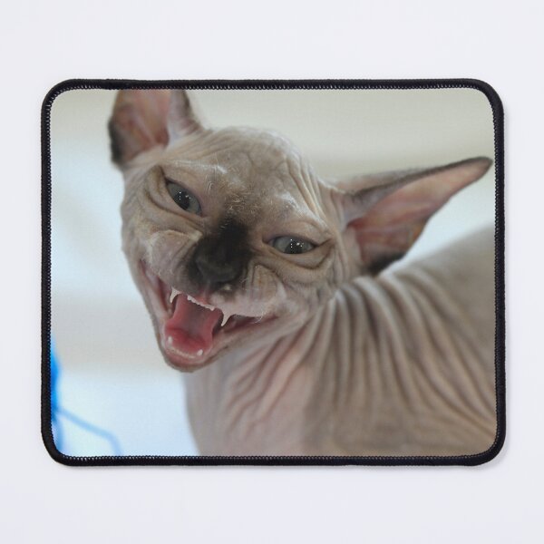 Item preview, Portrait of cute sphinx cat designed and sold by olena2552.