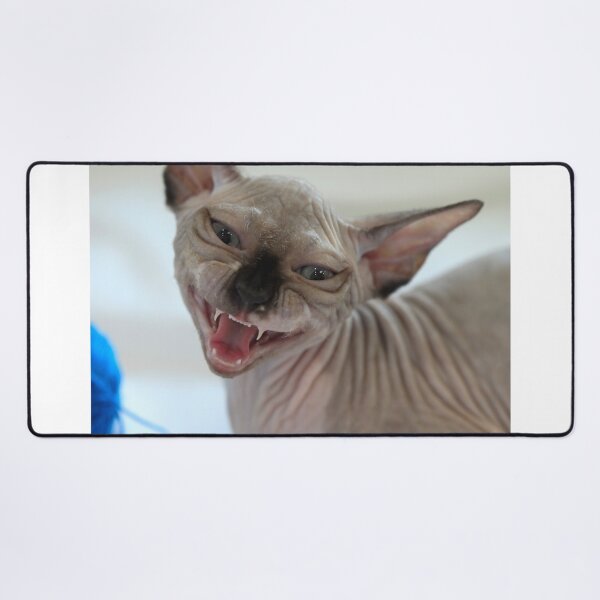 Item preview, Portrait of cute sphinx cat designed and sold by olena2552.