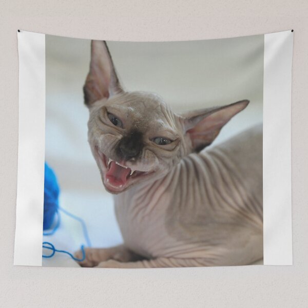Item preview, Portrait of cute sphinx cat designed and sold by olena2552.