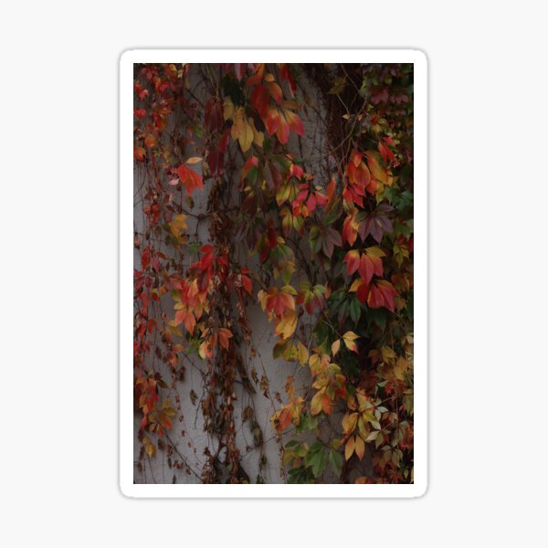 Item preview, Autumn leaves patterns designed and sold by msro1.