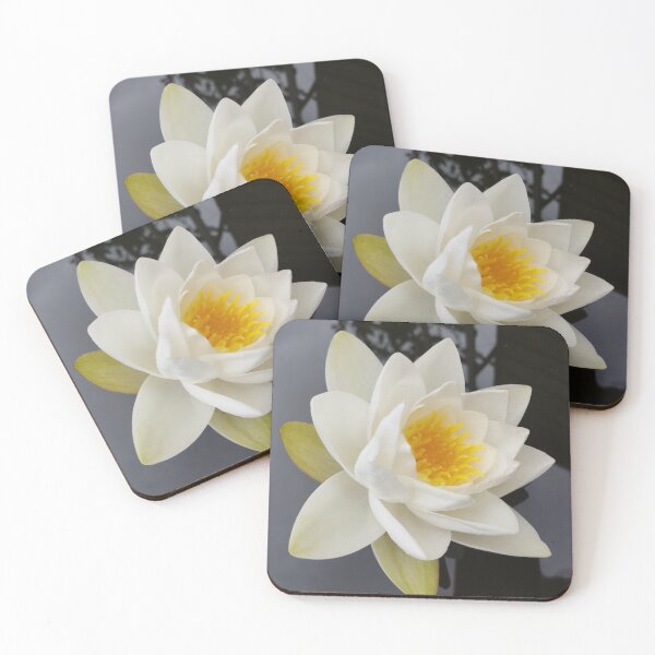 Item preview, White waterlily photograph  designed and sold by esvb.