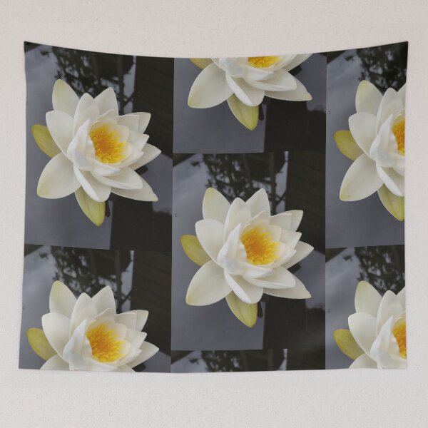 Item preview, White waterlily photograph  designed and sold by esvb.