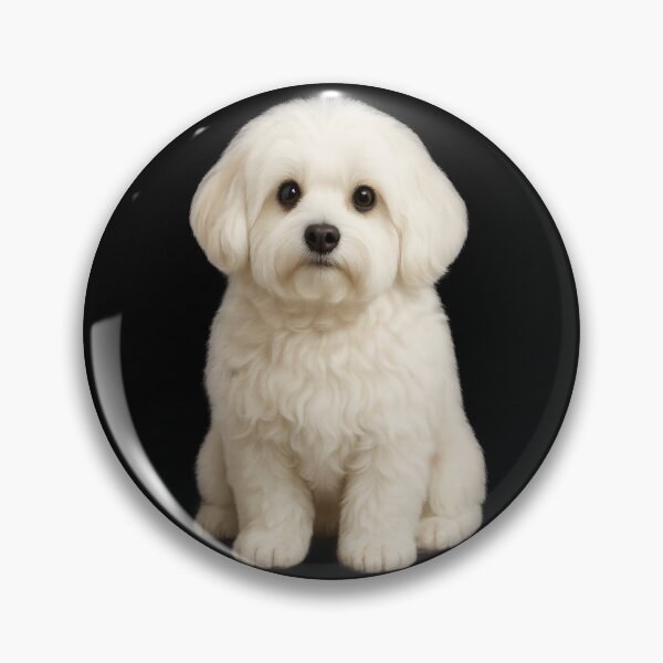 Item preview, Classic Cute Havanese Portrait designed and sold by Uglyandcute.