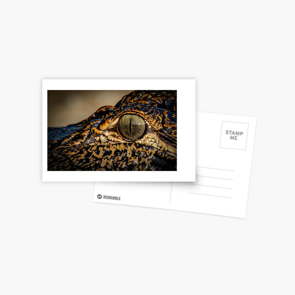 Item preview, Postcard designed and sold by Panthermama78.