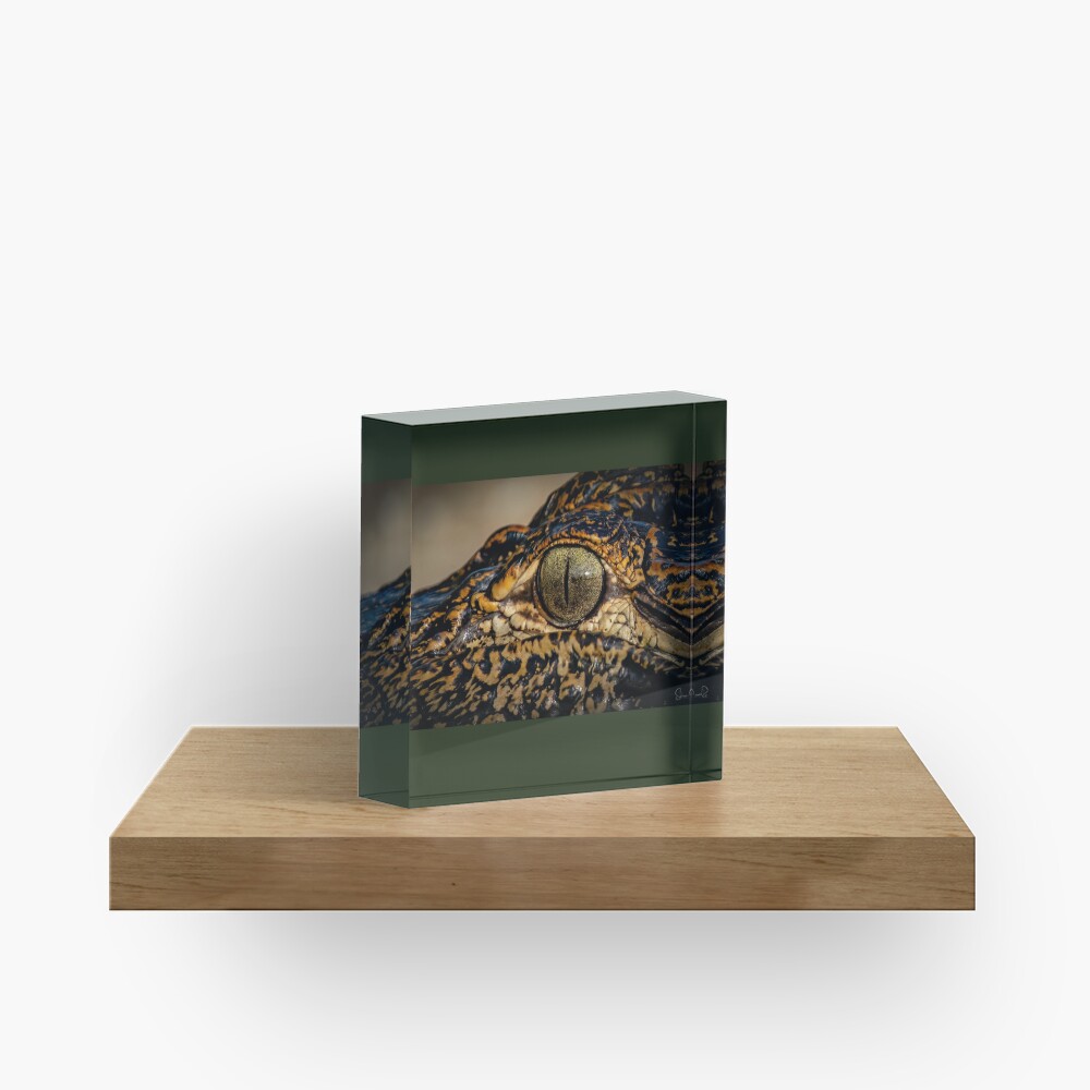 Item preview, Acrylic Block designed and sold by Panthermama78.