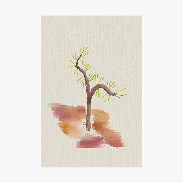 Item preview, The Pine Seedling designed and sold by FairyOasis.
