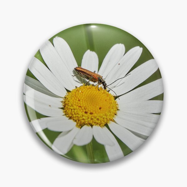 Item preview, Flyby Diner designed and sold by Eidetic Photos.