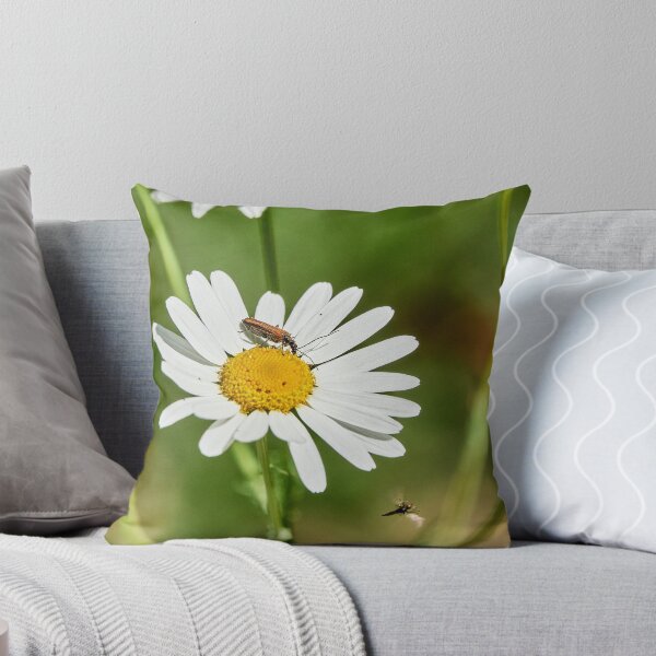 Item preview, Flyby Diner designed and sold by Eidetic Photos.