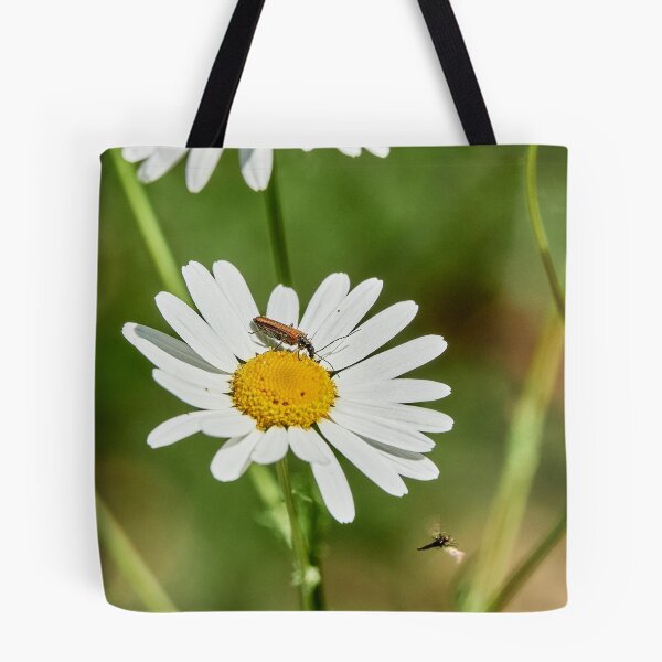 Item preview, Flyby Diner designed and sold by Eidetic Photos.