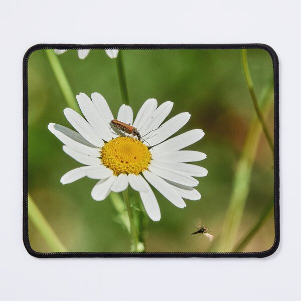 Item preview, Flyby Diner designed and sold by Eidetic Photos.
