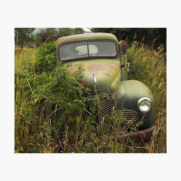 Item preview, International Pickup With Vines designed and sold by HiDesertImages.