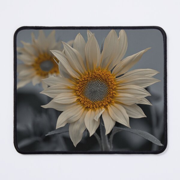 Item preview, Sunflower photo edited for orange color isolation designed and sold by Cblifeisgood.