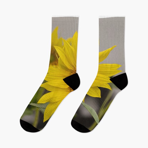Item preview, Common sunflowers designed and sold by Cblifeisgood.