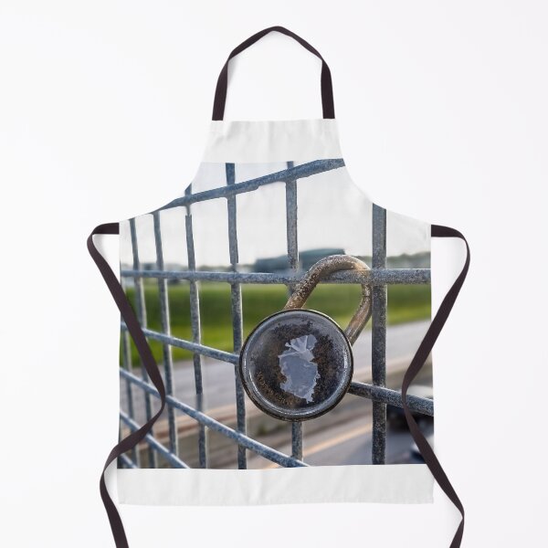 Item preview, The padlock has many a mystery. designed and sold by Joel Bader.