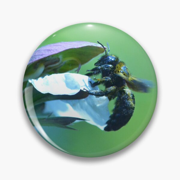 Item preview, Pollen Coated Bumble Bee on Flower designed and sold by Fer van der Linde.