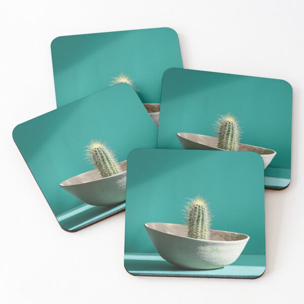 Item preview, Cradled Cactus in the Dim Mint Light designed and sold by mrpropcake.