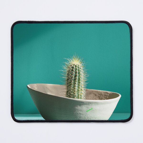 Item preview, Cradled Cactus in the Dim Mint Light designed and sold by mrpropcake.