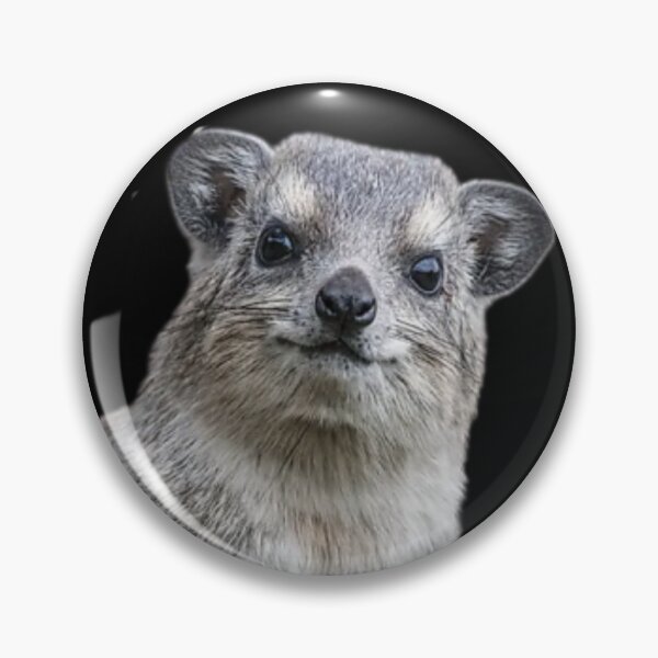 Item preview, Rock Hyrax Photo - Dassie | Awawa | Cute Vampire Potato designed and sold by matchakpop.