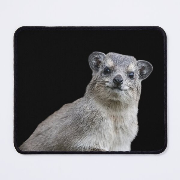 Item preview, Rock Hyrax Photo - Dassie | Awawa | Cute Vampire Potato designed and sold by matchakpop.