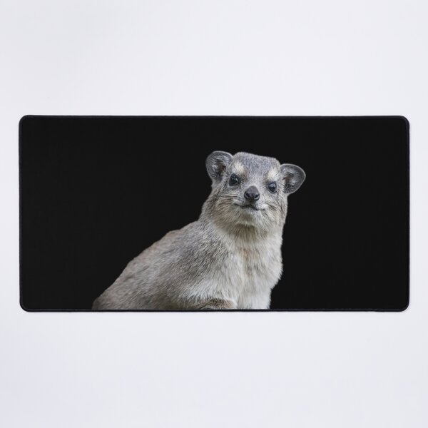Item preview, Rock Hyrax Photo - Dassie | Awawa | Cute Vampire Potato designed and sold by matchakpop.