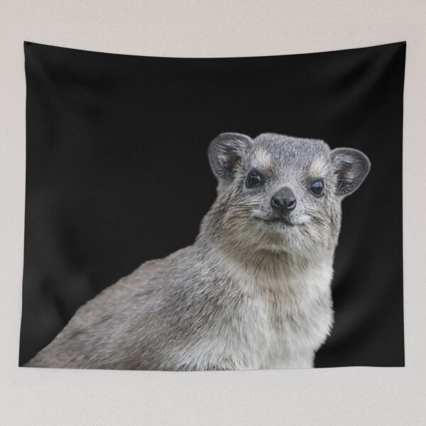 Item preview, Rock Hyrax Photo - Dassie | Awawa | Cute Vampire Potato designed and sold by matchakpop.