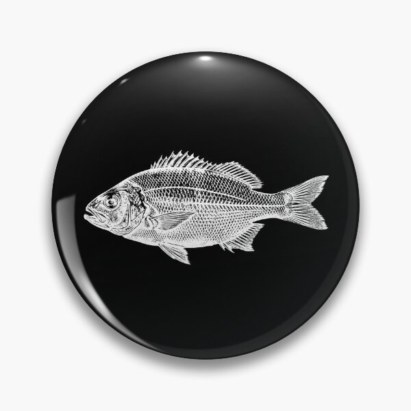 Item preview, Sea Bream  designed and sold by Coloradodrawings.