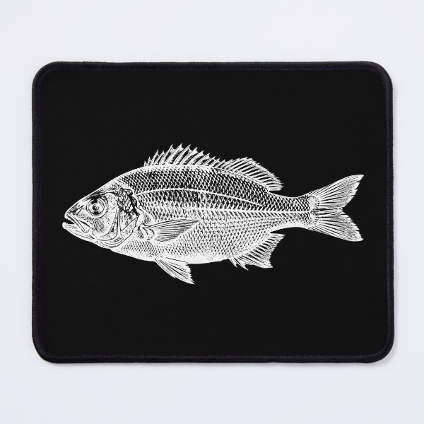 Item preview, Sea Bream designed and sold by Coloradodrawings.