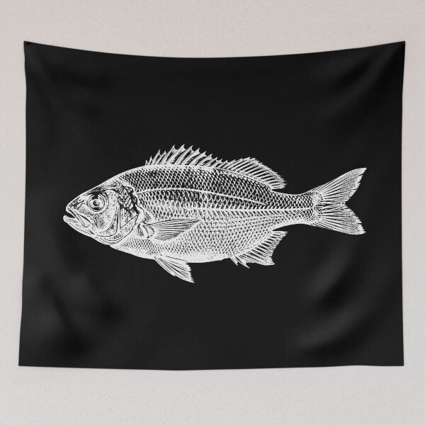 Item preview, Sea Bream  designed and sold by Coloradodrawings.