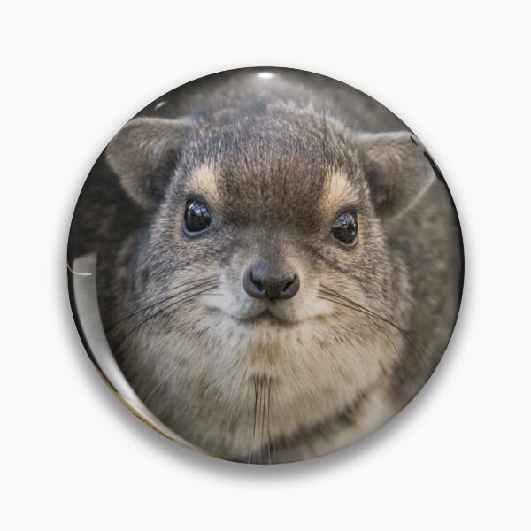 Item preview, Rock Hyrax Photo - Dassie | Awawa | Cute Vampire Potato designed and sold by matchakpop.