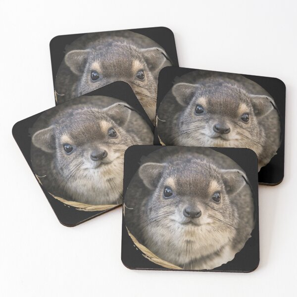 Item preview, Rock Hyrax Photo - Dassie | Awawa | Cute Vampire Potato designed and sold by matchakpop.