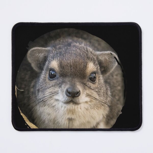Item preview, Rock Hyrax Photo - Dassie | Awawa | Cute Vampire Potato designed and sold by matchakpop.