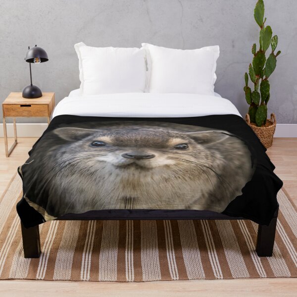 Item preview, Rock Hyrax Photo - Dassie | Awawa | Cute Vampire Potato designed and sold by matchakpop.