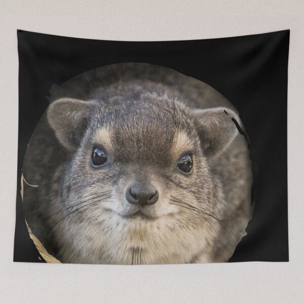 Item preview, Rock Hyrax Photo - Dassie | Awawa | Cute Vampire Potato designed and sold by matchakpop.