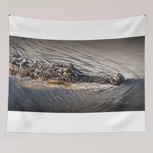 Item preview, Alligator designed and sold by lando-s-photo.