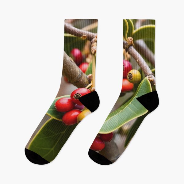 Item preview, Branches and Red Berries – Natural Botanical Illustration, Autumn Fruit Pattern designed and sold by Arkeso.