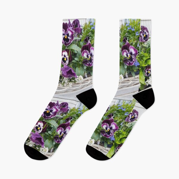 Item preview, Purple Pansy Flower Alyssum Lobelia Flowers Photo in Basket designed and sold by Sarah  Rajkotwala.