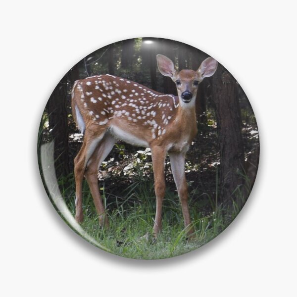 Item preview, Doe Deer  designed and sold by emgcphoto.