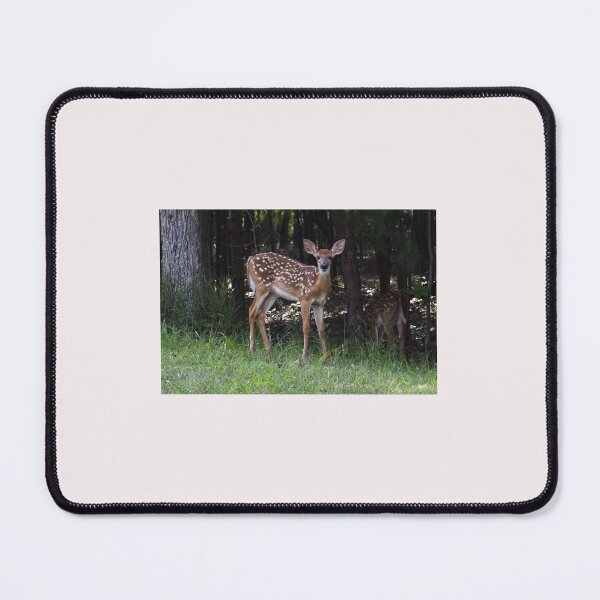 Item preview, Doe Deer designed and sold by emgcphoto.