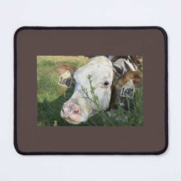 Item preview, MOOO 1 designed and sold by emgcphoto.