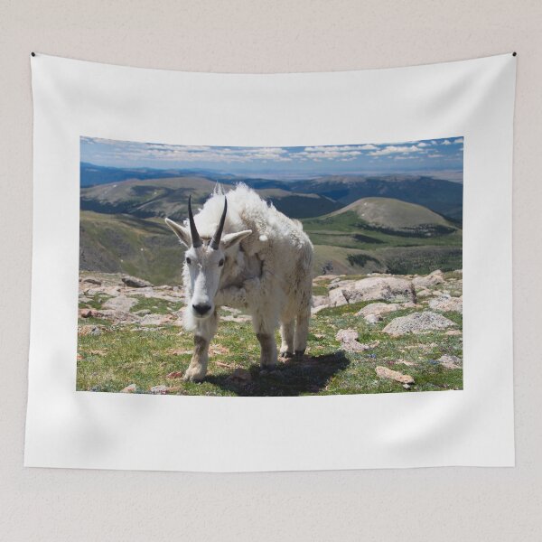 Item preview, Let's make friends designed and sold by Valentina Gatewood.