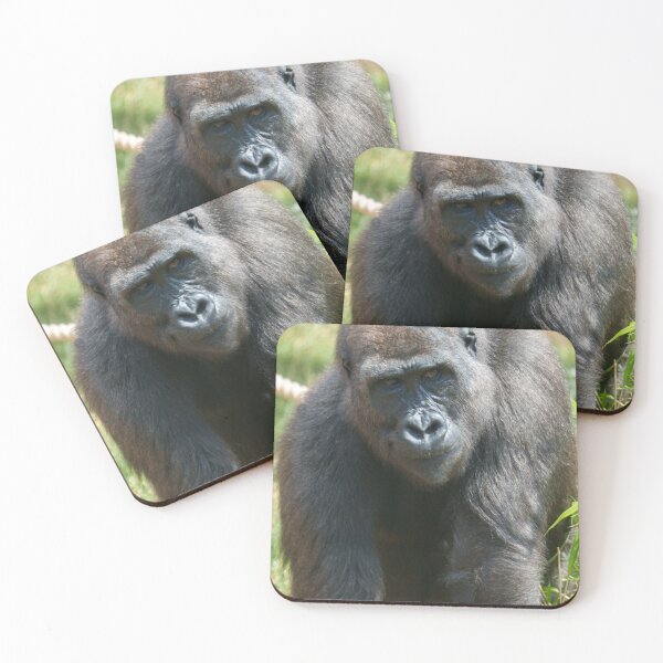 Item preview, Gorilla Shufai’s Thoughtful Gaze designed and sold by rawshutterbug.