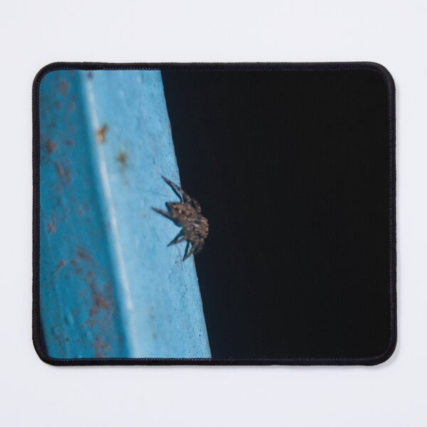 Item preview, Araneus ventricosus designed and sold by ROSE ANN BANILAR.