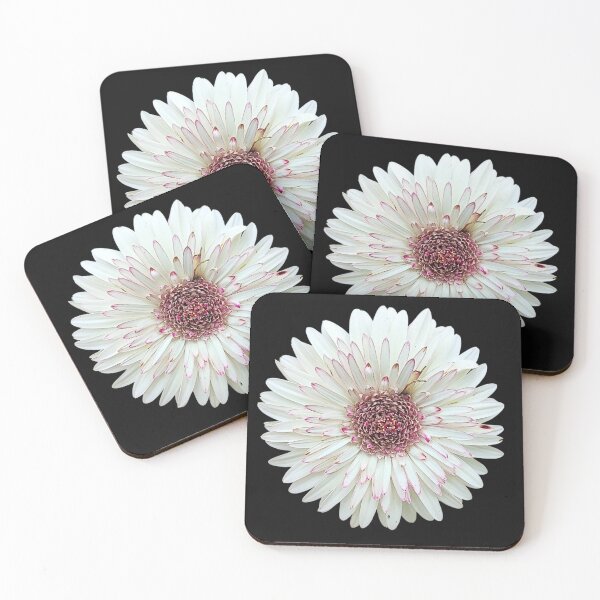 Item preview, Barberton Daisy Flower Botanical Art designed and sold by bvdesignart.