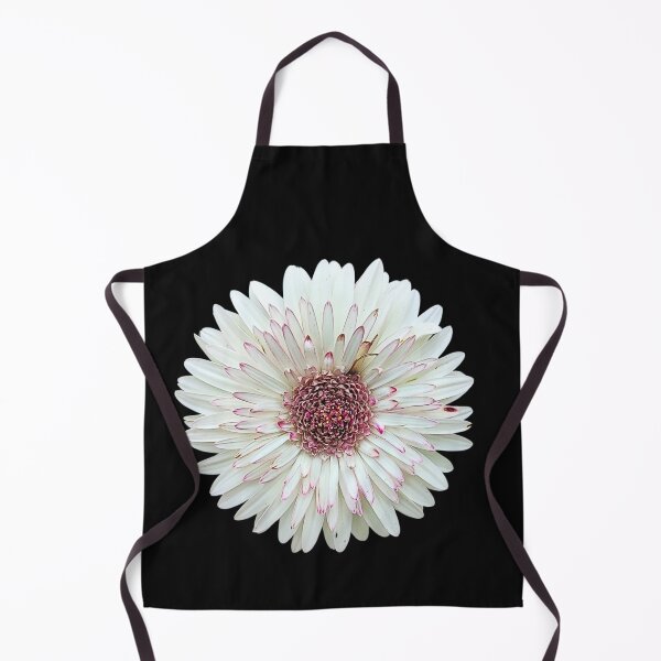 Item preview, Barberton Daisy Flower Botanical Art designed and sold by bvdesignart.