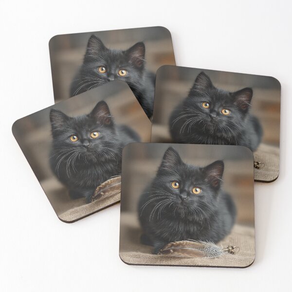 Item preview, Black kitten and a feather designed and sold by CritterWisdom.
