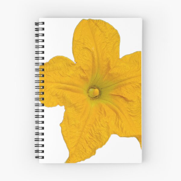 Item preview, Squash Flower designed and sold by LoveGraceValor.