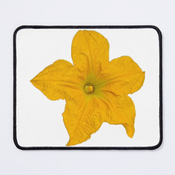 Item preview, Squash Flower designed and sold by LoveGraceValor.