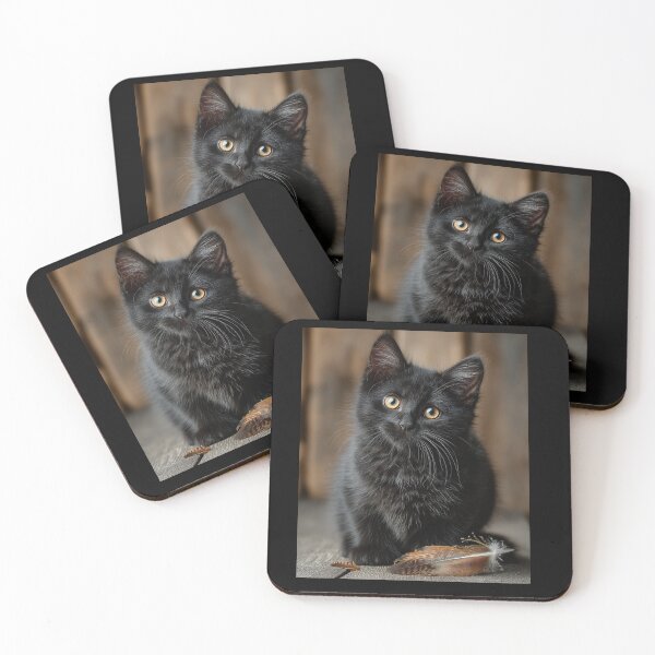 Item preview, Black Kitten with Feather designed and sold by CritterWisdom.