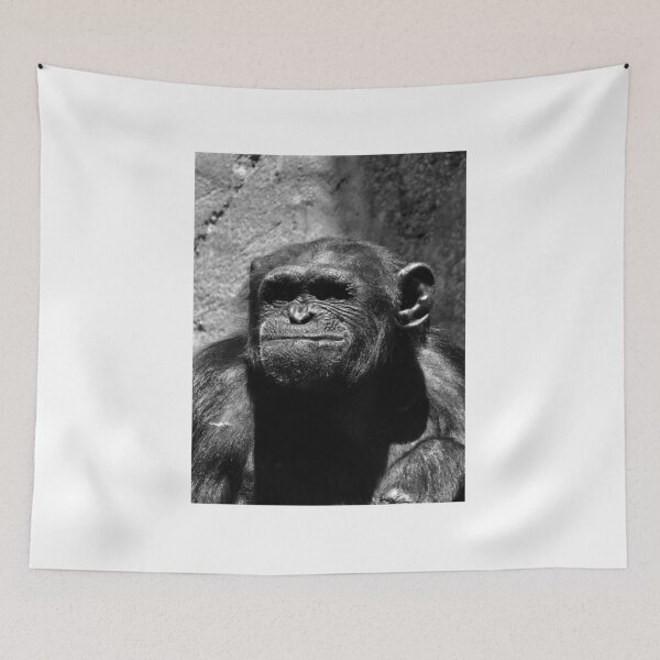 Item preview, Chimp Smirk designed and sold by lando-s-photo.